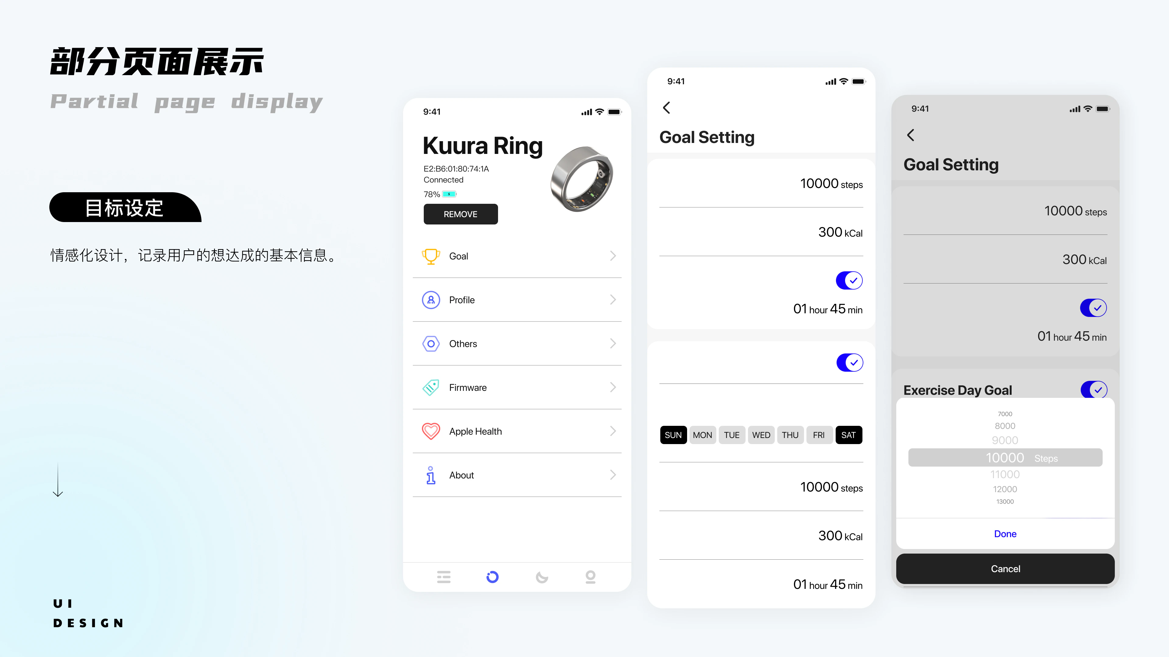 Da Ring 项目展示 8